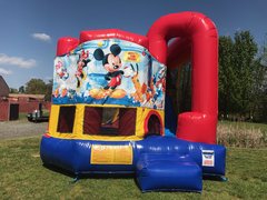 Mickey Mouse Backyard Combo Mickey Mouse Backyard Combo