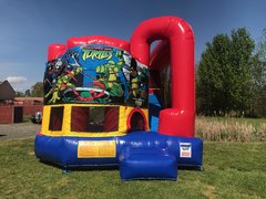 Teenage Mutant Ninja Turtle Backyard Combo Teenage Mutant Ninja Turtle Backyard Combo
