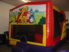 Winnie the Pooh Combo Winnie the Pooh Combo