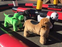Ride On Animals Ride On Animals