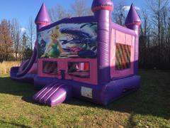 Tinker Bell Purple Castle Combo Tinker Bell Purple Castle Combo